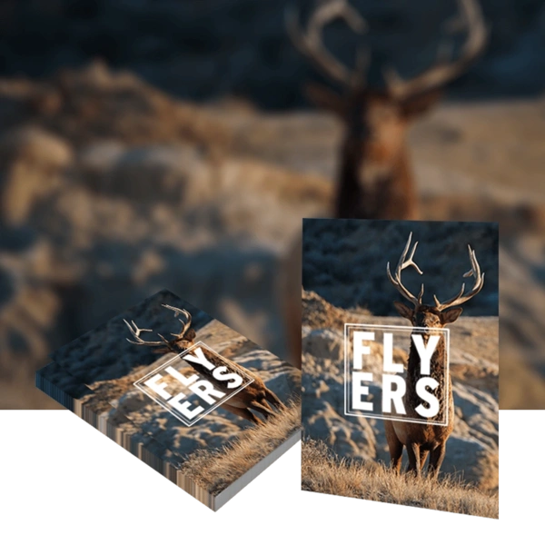 A5 Size Flyer